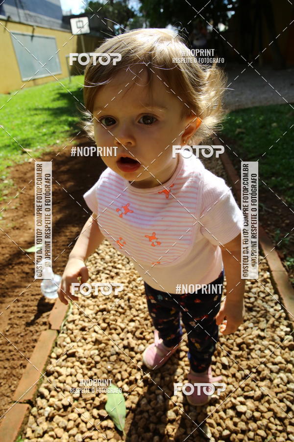 Buy your photos of the eventBeb� e Cia on Fotop