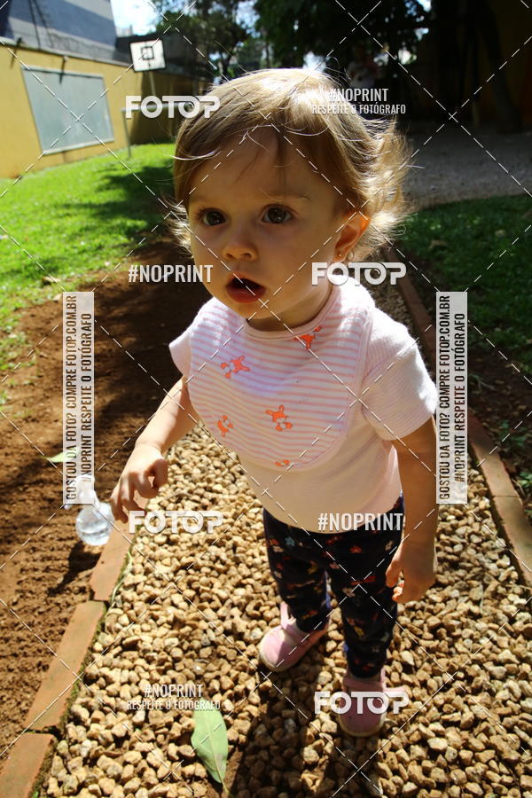 Buy your photos of the eventBeb� e Cia on Fotop