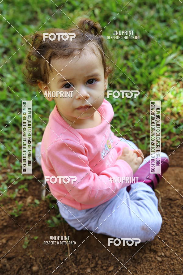 Buy your photos of the eventBeb� e Cia on Fotop