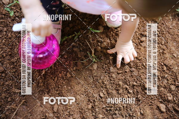 Buy your photos of the eventBeb� e Cia on Fotop