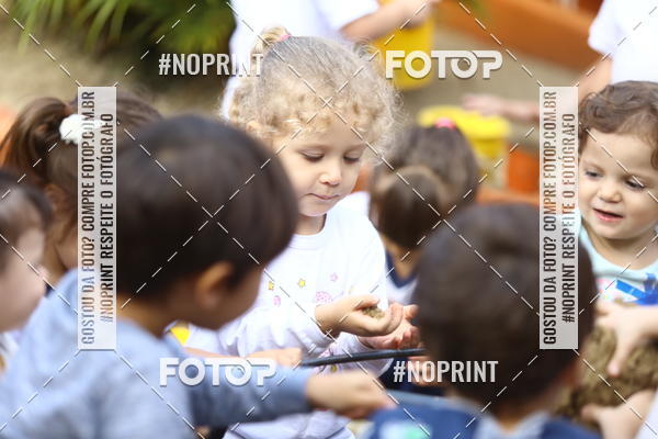 Buy your photos of the eventBeb� e Cia on Fotop