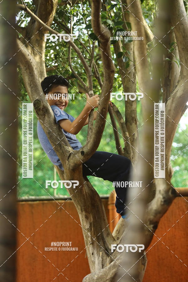 Buy your photos of the eventBeb� e Cia on Fotop