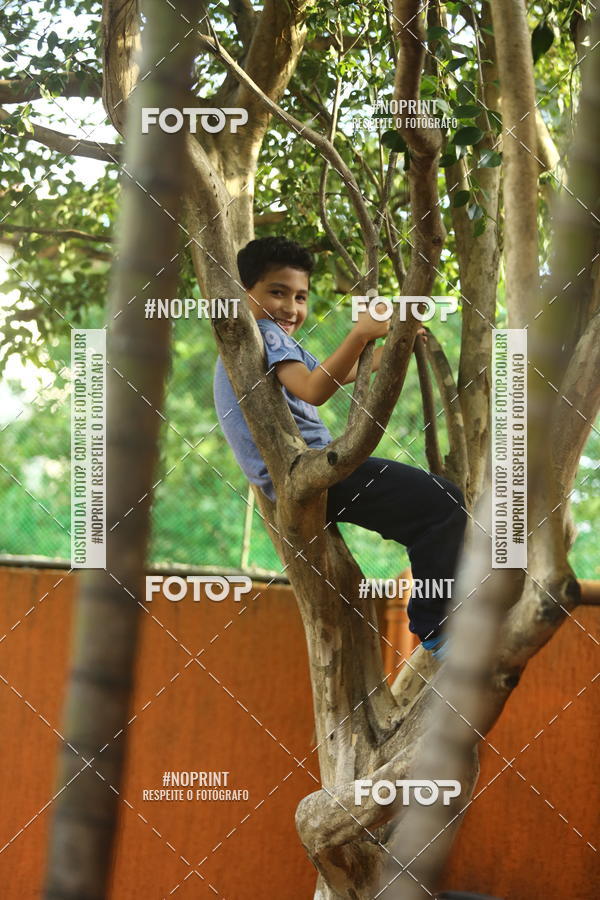 Buy your photos of the eventBeb� e Cia on Fotop