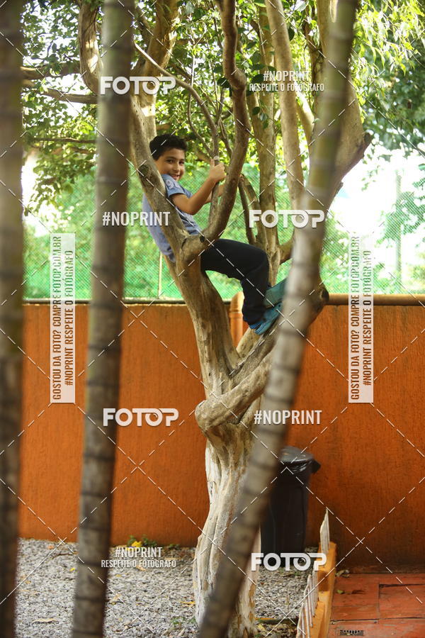 Buy your photos of the eventBeb� e Cia on Fotop