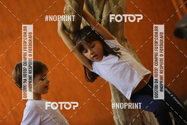 Buy your photos of the eventBeb� e Cia on Fotop