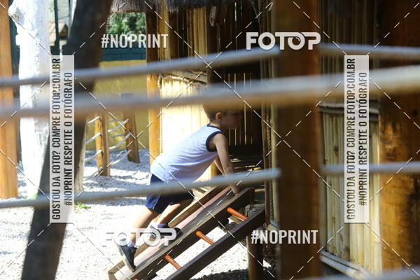 Buy your photos of the eventBeb� e Cia on Fotop