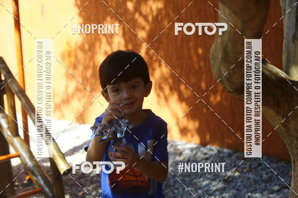 Buy your photos of the eventBeb� e Cia on Fotop