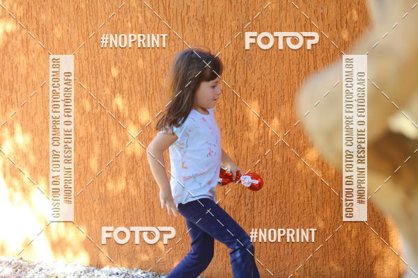 Buy your photos of the eventBeb� e Cia on Fotop