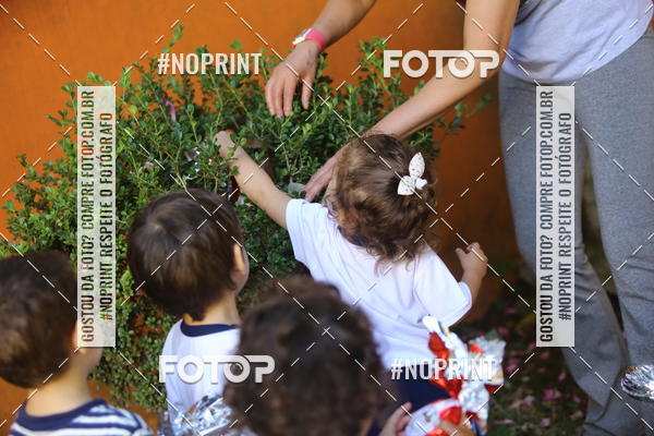 Buy your photos of the eventBeb� e Cia on Fotop