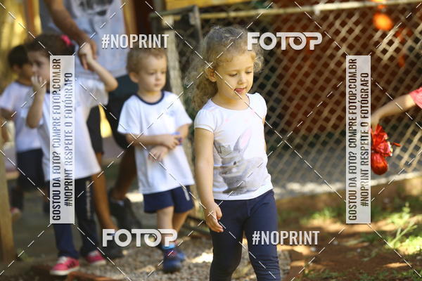 Buy your photos of the eventBeb� e Cia on Fotop