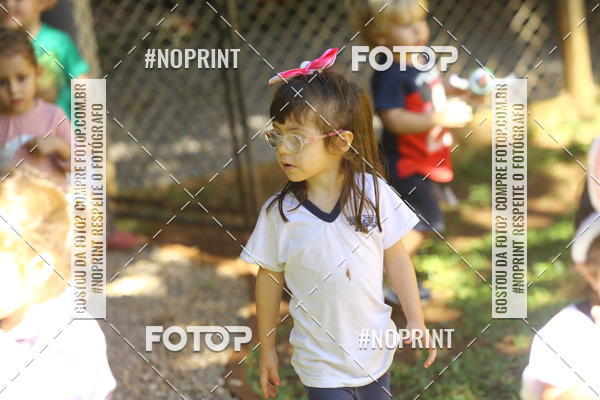 Buy your photos of the eventBeb� e Cia on Fotop