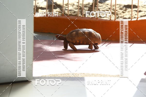 Buy your photos of the eventBeb� e Cia on Fotop