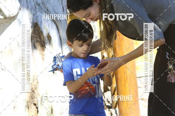 Buy your photos of the eventBeb� e Cia on Fotop