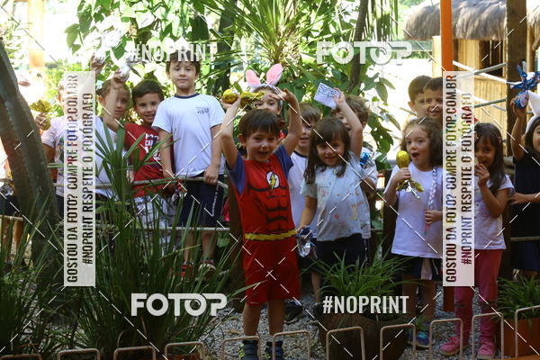 Buy your photos of the eventBeb� e Cia on Fotop