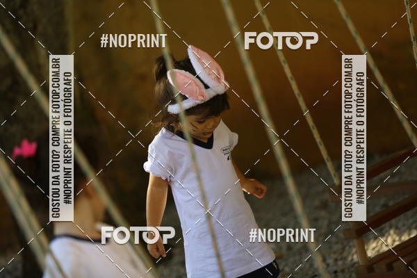 Buy your photos of the eventBeb� e Cia on Fotop