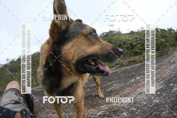 Buy your photos of the eventTrail Run - Lavras Novas on Fotop