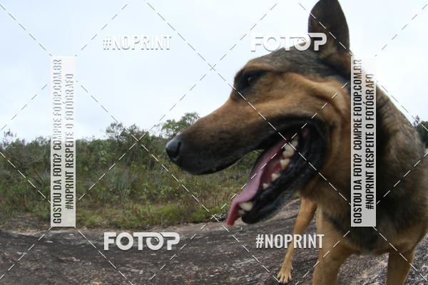 Buy your photos of the eventTrail Run - Lavras Novas on Fotop