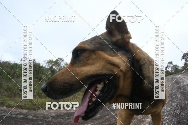 Buy your photos of the eventTrail Run - Lavras Novas on Fotop