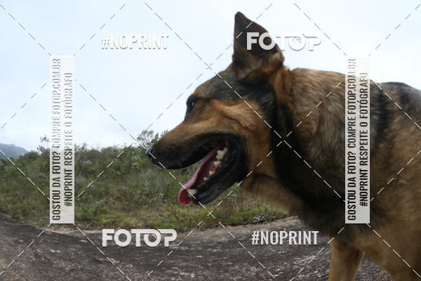 Buy your photos of the eventTrail Run - Lavras Novas on Fotop