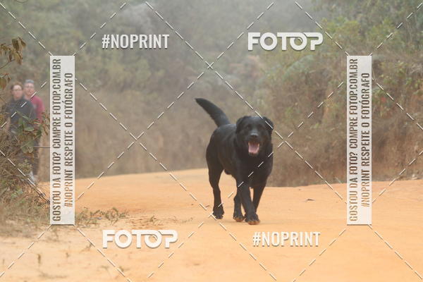 Buy your photos of the eventTrail Run - Lavras Novas on Fotop