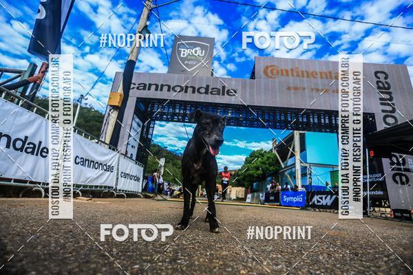 Compre suas fotos do eventoDesafio Brou Trail Run - Nova Lima - MG no Fotop