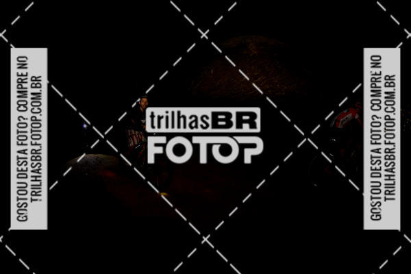 Buy your photos of the eventPeregrinao Angelina on Fotop