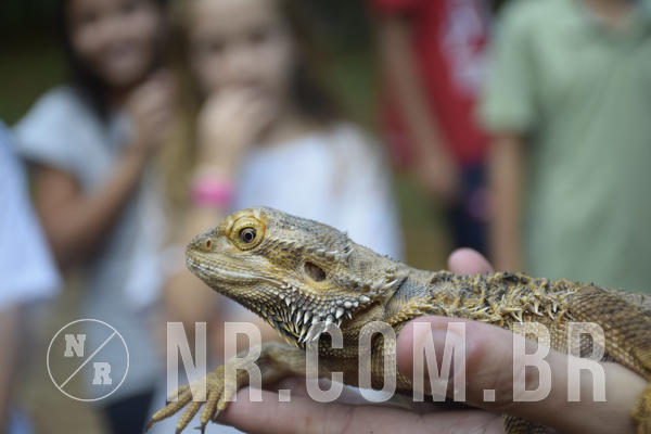 Buy your photos of the eventNR1 - Cl�ssico 24 a 26/04/19 on Fotop