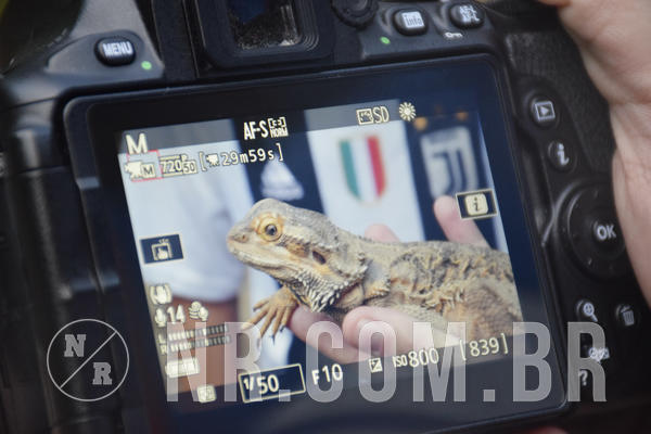 Buy your photos of the eventNR1 - Cl�ssico 24 a 26/04/19 on Fotop