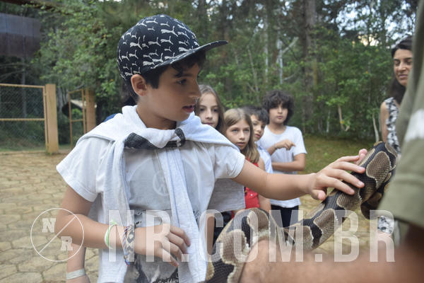 Buy your photos of the eventNR1 - Cl�ssico 24 a 26/04/19 on Fotop