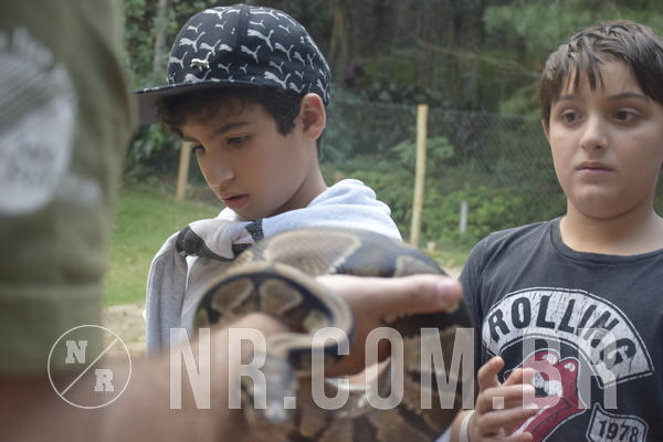 Buy your photos of the eventNR1 - Cl�ssico 24 a 26/04/19 on Fotop