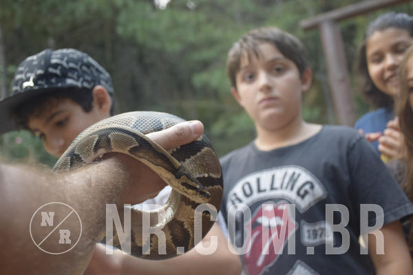 Buy your photos of the eventNR1 - Cl�ssico 24 a 26/04/19 on Fotop