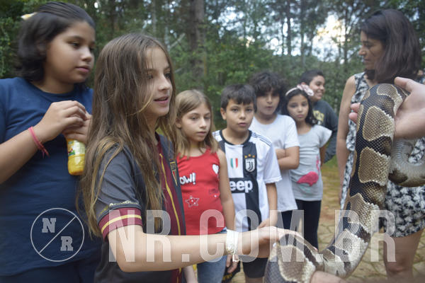 Buy your photos of the eventNR1 - Cl�ssico 24 a 26/04/19 on Fotop