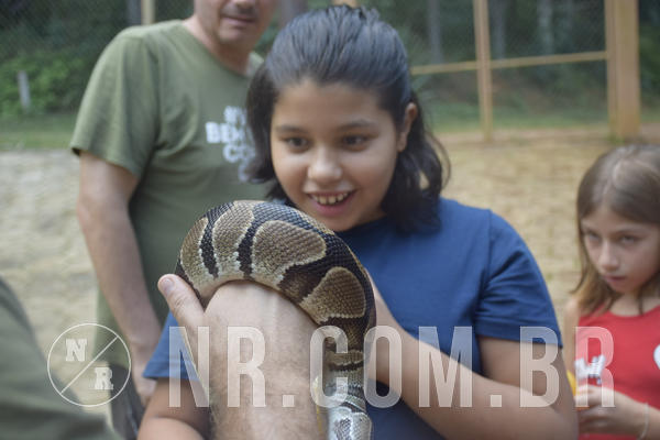 Buy your photos of the eventNR1 - Cl�ssico 24 a 26/04/19 on Fotop