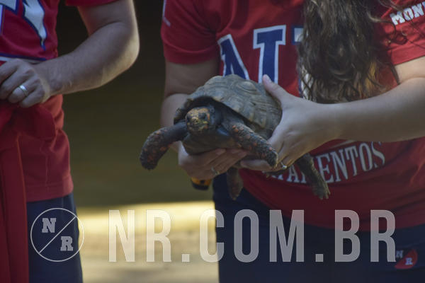 Buy your photos of the eventNR1 - Cl�ssico 24 a 26/04/19 on Fotop