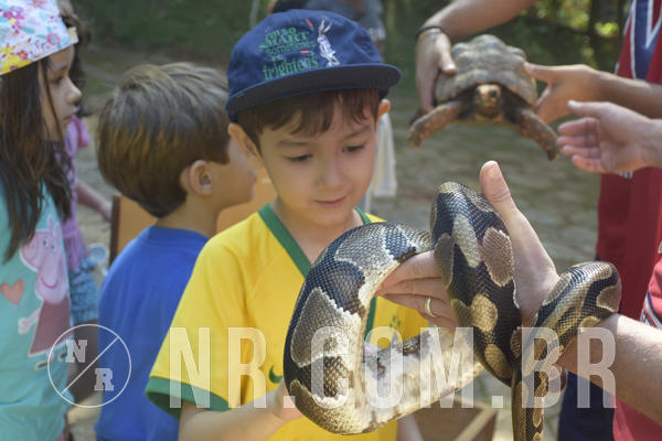 Buy your photos of the eventNR1 - Cl�ssico 24 a 26/04/19 on Fotop