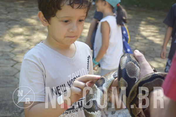 Buy your photos of the eventNR1 - Cl�ssico 24 a 26/04/19 on Fotop