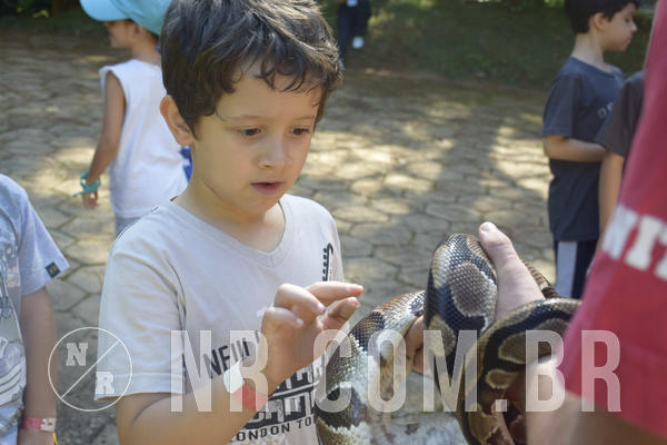 Buy your photos of the eventNR1 - Cl�ssico 24 a 26/04/19 on Fotop