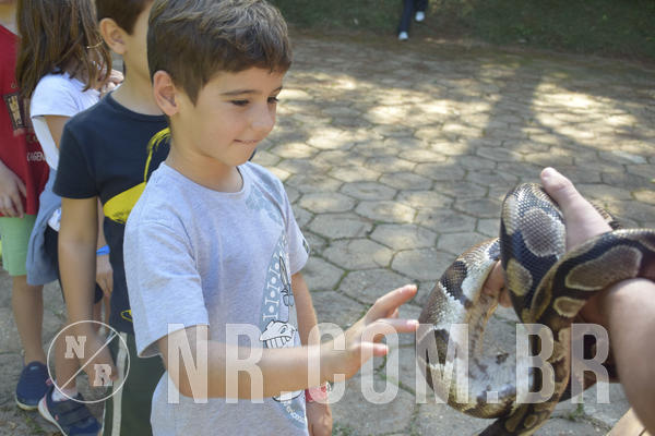 Buy your photos of the eventNR1 - Cl�ssico 24 a 26/04/19 on Fotop