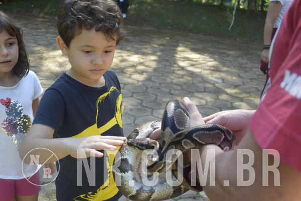 Buy your photos of the eventNR1 - Cl�ssico 24 a 26/04/19 on Fotop