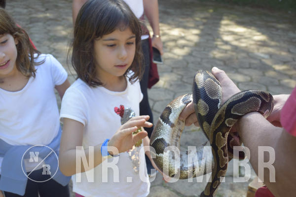 Buy your photos of the eventNR1 - Cl�ssico 24 a 26/04/19 on Fotop