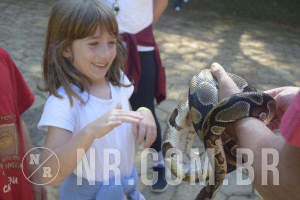 Buy your photos of the eventNR1 - Cl�ssico 24 a 26/04/19 on Fotop