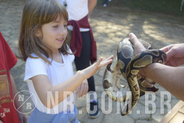 Buy your photos of the eventNR1 - Cl�ssico 24 a 26/04/19 on Fotop