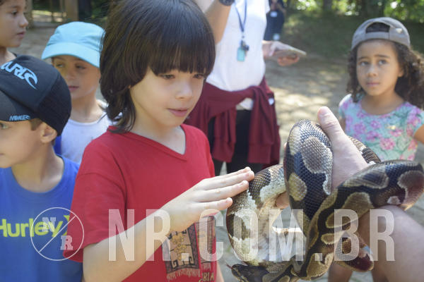 Buy your photos of the eventNR1 - Cl�ssico 24 a 26/04/19 on Fotop