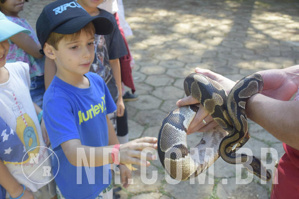 Buy your photos of the eventNR1 - Cl�ssico 24 a 26/04/19 on Fotop