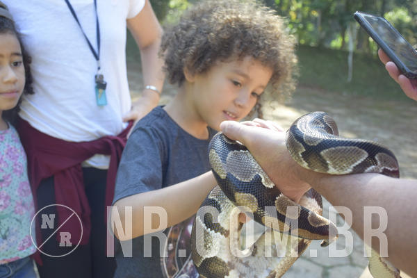 Buy your photos of the eventNR1 - Cl�ssico 24 a 26/04/19 on Fotop