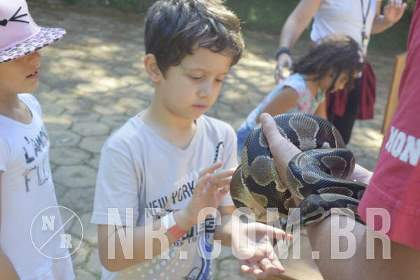 Buy your photos of the eventNR1 - Cl�ssico 24 a 26/04/19 on Fotop