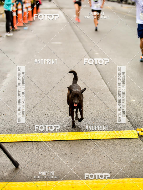 Acquista le foto dell'eventoCorrida Rstica do Dia do Trabalhador in Fotop