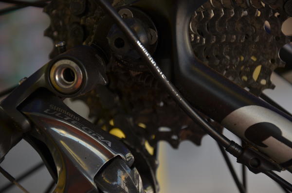 Buy your photos of the eventTraining Day on Fotop