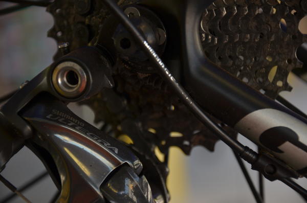 Buy your photos of the eventTraining Day on Fotop