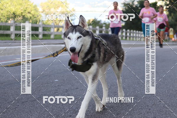 Compre suas fotos do eventoCorrida de Combate  Violncia Contra a Mulher 2019 - Etapa Niteri no Fotop